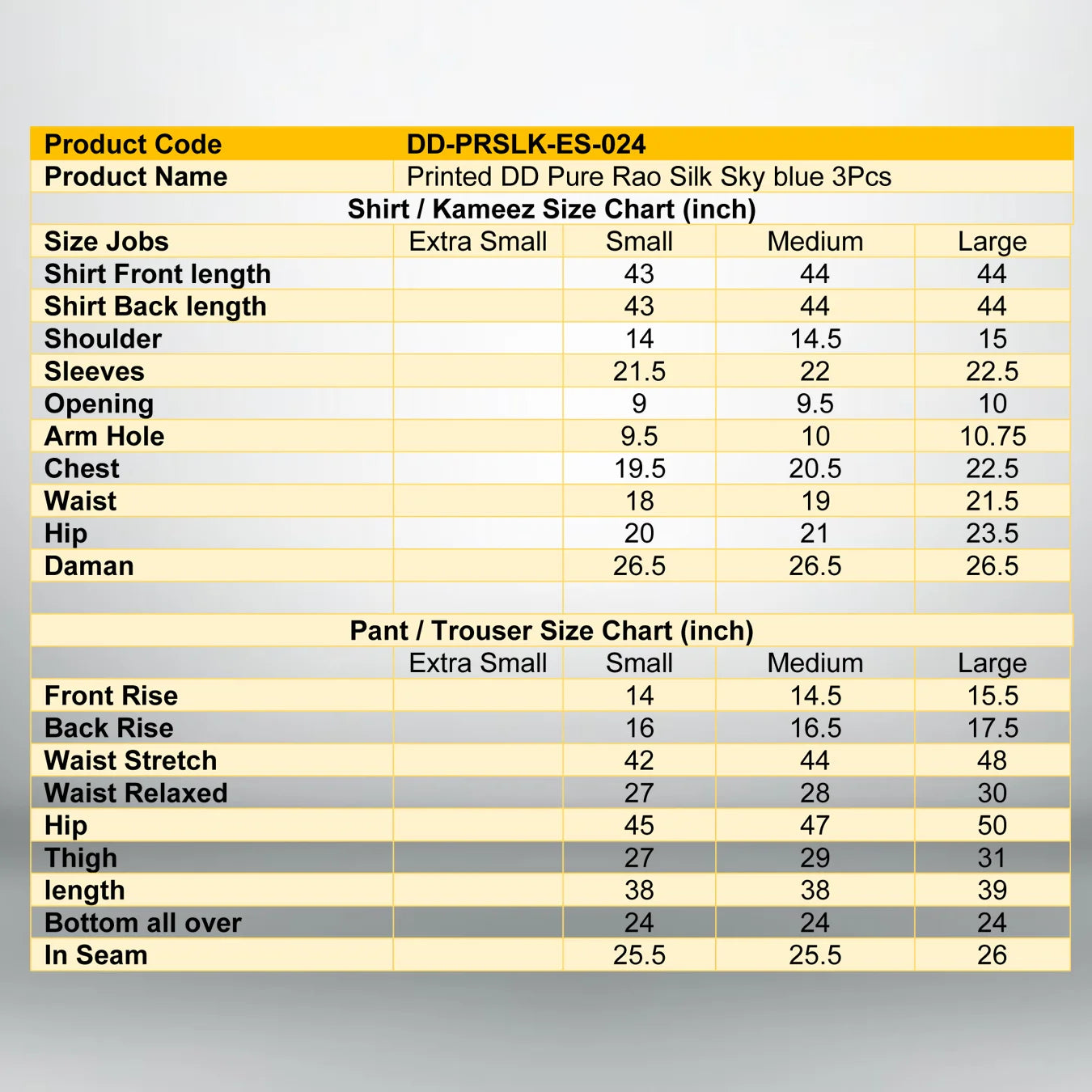 Sky Blue Printed Pure Rao Silk 3 PC | DD-PRSLK-ES-024