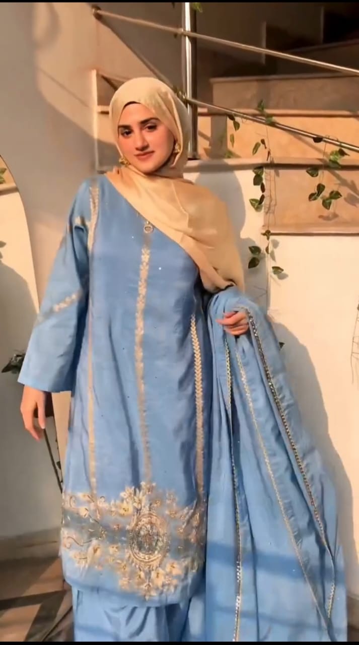 Sky Blue Printed Pure Rao Silk 3 PC | DD-PRSLK-ES-024