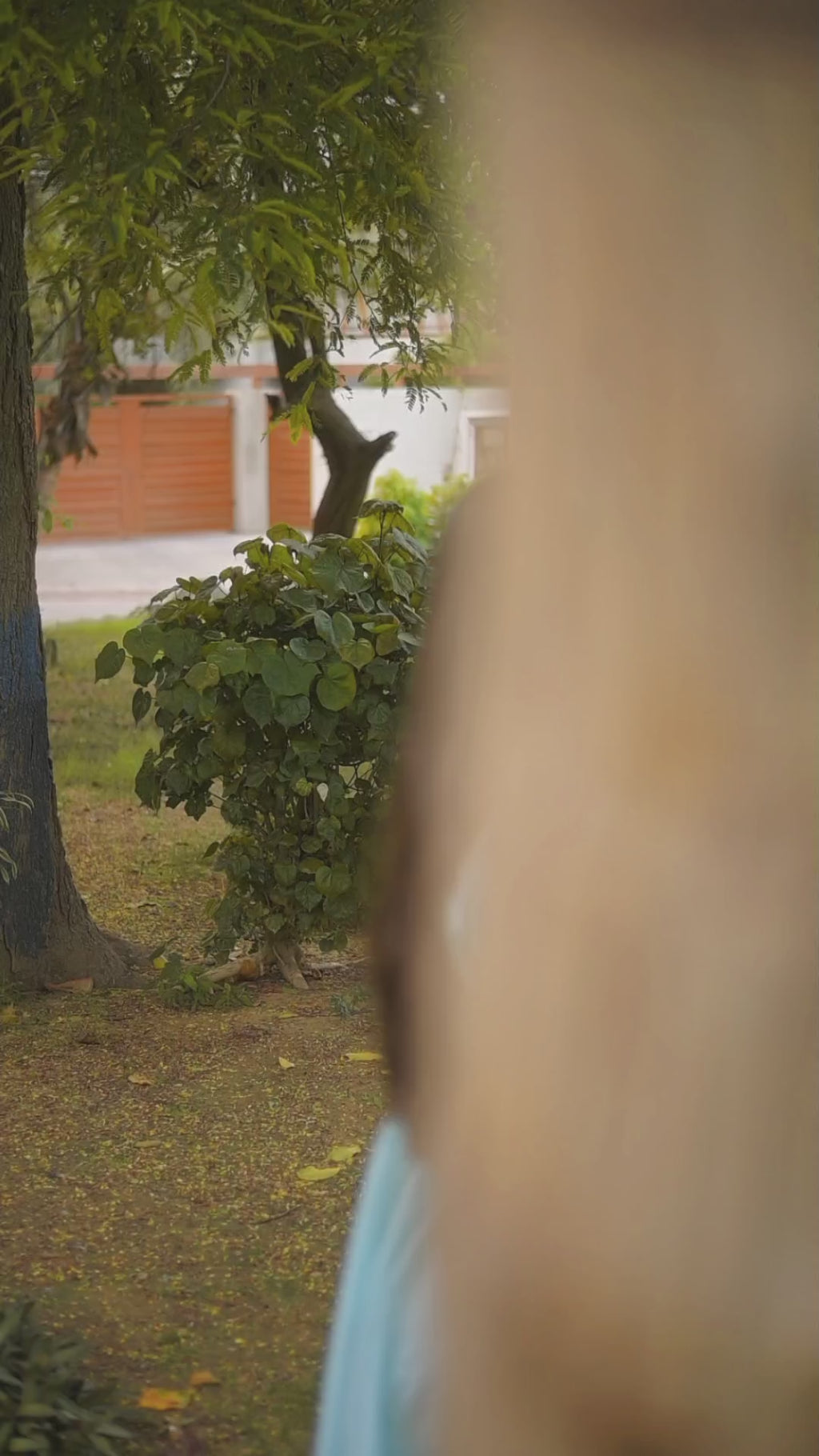 Sea Green Cotton Star Frock With Shalwar 2Pcs | DD-COTT-036