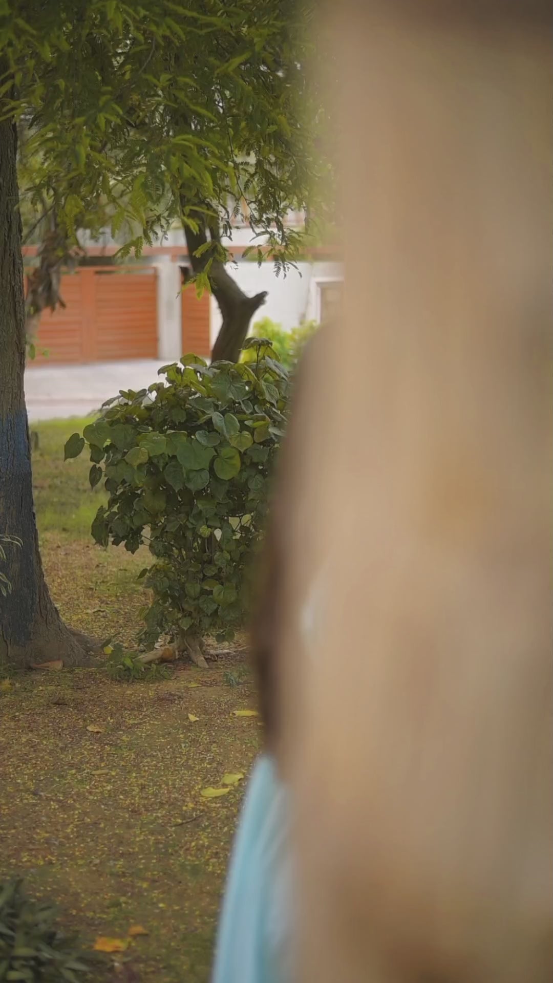 Sea Green Cotton Star Frock With Shalwar 2Pcs | DD-COTT-036