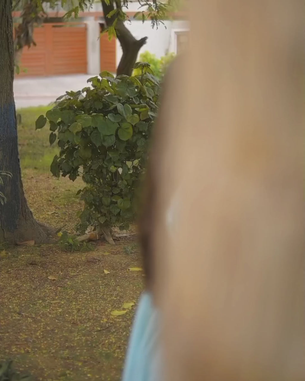 Sea Green Cotton Star Frock With Shalwar 2Pcs | DD-COTT-036